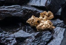 Photo of Black Cat Syndicate extends Paulsens gold project