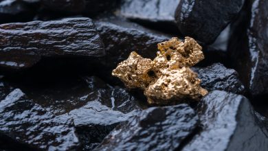 Photo of Black Cat Syndicate extends Paulsens gold project