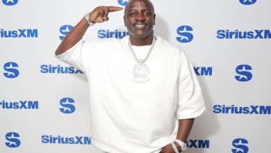 Photo of Akon’s $6B Plan To Build A Real-Life ‘Wakanda’ In Senegal ‘No Longer Exists’