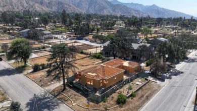 Photo of A barrier to rebuilding and Black economic resilience – Daily News