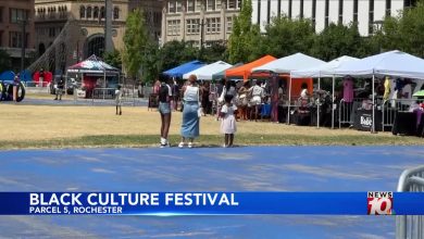 Photo of Black Culture Festival brings music, art, and community pride to Parcel Five