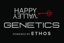 Photo of Happy Valley Genetics Seeds, American Know-How- Alchimia Grow Shop
