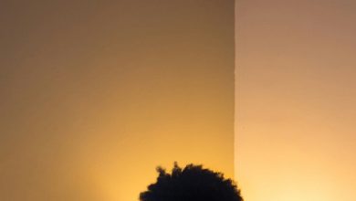 Photo of Google and Howard Team Up to Elevate Black Voices