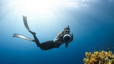 Photo of Top Underwater Activities for Action Camera Shots
