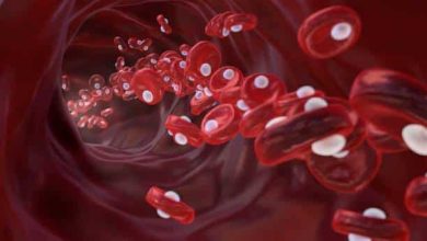 Photo of 5 Signs Your Red Blood Cell Count Is Too Low