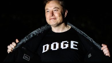 Photo of ‘Only Doge’—Elon Musk Quietly Signals Crypto Support Amid $4.2 Trillion Bitcoin And Ethereum Price Boom