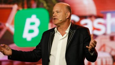 Photo of Crypto Treasury Craze Has Probably Peaked, Bitcoin Bull Mike Novogratz Says