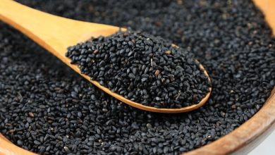 Photo of How Black-Owned Seed Companies Are Growing More Than Food