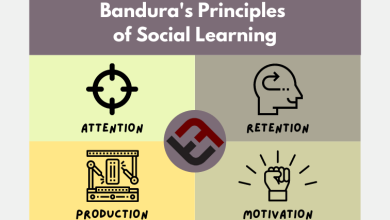 Photo of Bandura’s 4 Principles Of Social Learning Theory