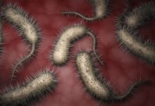 Photo of ALERT: Flesh-Eating Bacteria Cases on the Rise