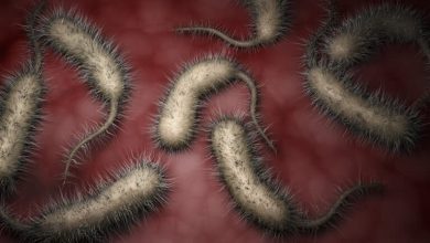 Photo of ALERT: Flesh-Eating Bacteria Cases on the Rise