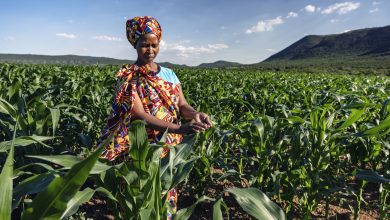 Photo of Sahel Capital Secures $10M From Mastercard Foundation Africa Growth Fund To Grow African Agri-SMEs