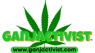 Photo of No Democracy!- 88 Years of Federal Marijuana Prohibition — It’s Time To End It –
