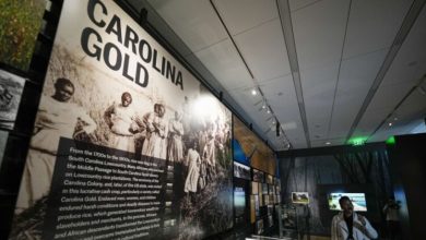 Photo of MAGA White House Threatens African American Museum and Other Institutions for Emphasizing Being ‘Too Focused on How Bad Slavery Was’