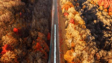 Photo of Best Amtrak Routes To See Stunning Fall Foliage Across The U.S.