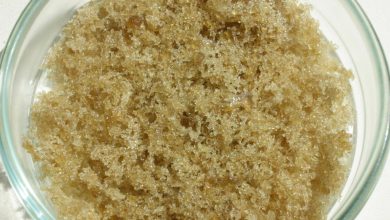 Photo of Complete Guide to Solventless/Non-solvent Cannabis Concentrates- Alchimia Grow Shop