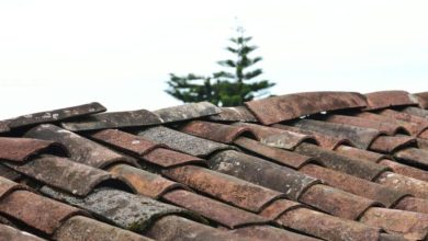 Photo of How Seasonal Weather in Geneva Impacts the Health of Your Roof