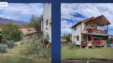 Photo of Yavapai Co. business gets help removing dead cattle after I-17 wildlife crashes