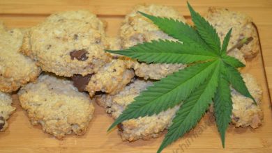 Photo of Recipe of vegan Space Cookies- Alchimia Grow Shop