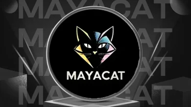 Photo of How Maya Preferred is Redefining the Future of Crypto Investing?