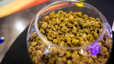 Photo of As Michigan marijuana tax jumps to 40%, critics worry it’ll fuel black market