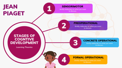 Photo of Stages Of Cognitive Development – TeachThought