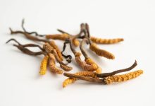 Photo of what it is, benefits, properties, and how to take it- Alchimia Grow Shop