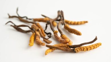 Photo of what it is, benefits, properties, and how to take it- Alchimia Grow Shop