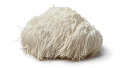 Photo of What are adaptogenic mushrooms and how can they help you?- Alchimia Grow Shop