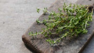 Photo of 10 Reasons Thyme Should be in Your Next Dish – BlackDoctor.org