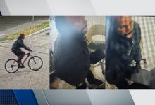 Photo of Detroit police search for man accused of breaking into local business, stealing cash, iPad