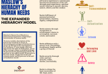 Photo of What Is Maslow’s Hierarchy Of Needs?