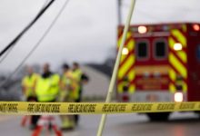 Photo of How Expert Witnesses Strengthen Case Credibility Through Reliable Testimony