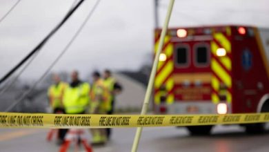 Photo of How Expert Witnesses Strengthen Case Credibility Through Reliable Testimony