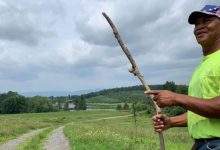 Photo of For Black farmers like David Haugton, USDA cuts threaten small farmers and local food programs amid policy shifts