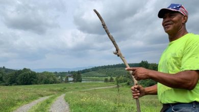 Photo of For Black farmers like David Haugton, USDA cuts threaten small farmers and local food programs amid policy shifts