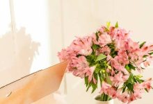 Photo of Why A Flower Subscription Suits Homes That Value Fresh Petal Variety