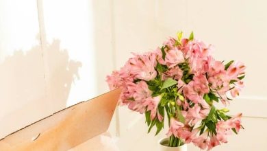 Photo of Why A Flower Subscription Suits Homes That Value Fresh Petal Variety
