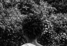 Photo of How My Dream Companion Gets It Right