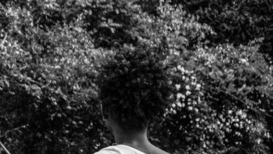 Photo of How My Dream Companion Gets It Right