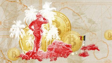 Photo of Paradise sold? The small Caribbean island courting crypto billions