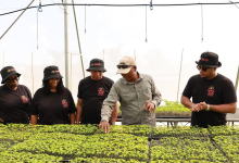 Photo of Black-Owned Caribbean Restaurant Golden Krust Announces Initiative To Help Jamaican Farmers Impacted By Hurricane Melissa – AfroTech