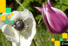 Photo of Concerns Ease, Bitcoin Firms and Altcoins Diverge