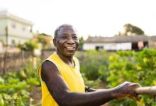 Photo of 5 Tiny Habits That Secretly Add Years to Your Life – BlackDoctor.org