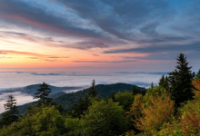 Photo of The Perfect Family Itinerary for a Weekend in the Smoky Mountains