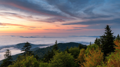 Photo of The Perfect Family Itinerary for a Weekend in the Smoky Mountains