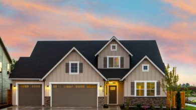 Photo of 6 Ways to Keep Rats and Mice from Coming Back in Central Florida Homes