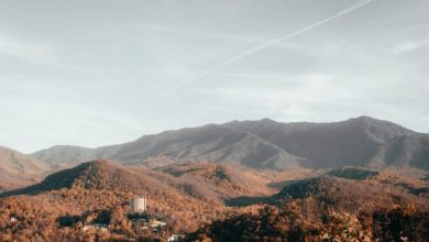 Photo of Discover Why Gatlinburg Is the Ultimate Family-friendly Destination