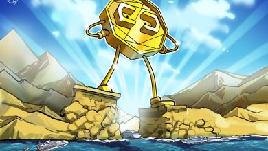 Photo of Consolidation Likely Coming to Crypto Treasury Market: Crypto exec