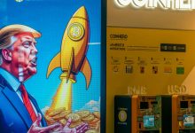 Photo of Meme Coins Are Dragging Down the Crypto Market, Ross Gerber Says